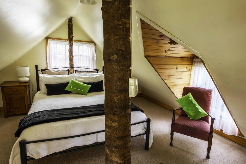 Touchwood Cottages 스탠리 외부 사진